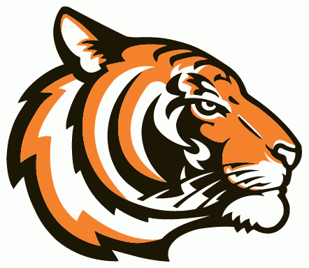 Princeton Tigers 2003-Pres Alternate Logo t shirts iron on transfers v2
